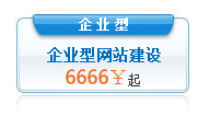 企业型（套餐）：6666元